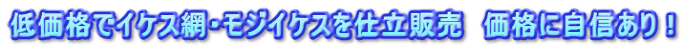 ቿiŃCPXԁEWCPXd̔@iɎMI